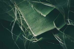 estilo balinês banana folhas rasgado a partir de seco hastes empilhado em topo do cada outro, verde fundo estilo foto