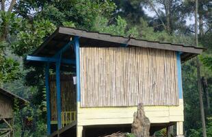 bambu gazebo dentro a floresta foto