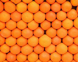 fundo textura do laranja fruta. foto