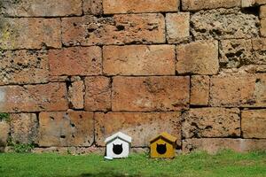 casas para gatos em a gramado perto a parede foto