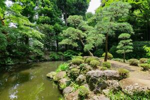 uma japonês jardim lagoa às tonogayato jardim dentro verão ensolarado dia foto