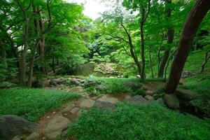 uma japonês jardim lagoa às tonogayato jardim dentro verão ensolarado dia foto