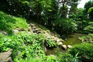 uma japonês jardim lagoa às tonogayato jardim dentro verão ensolarado dia foto