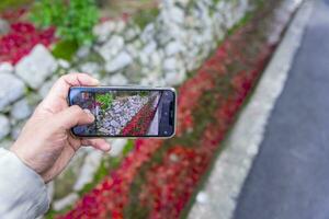 uma Smartphone tiroteio empilhado acima vermelho folhas dentro a limitar calha dentro outono foto