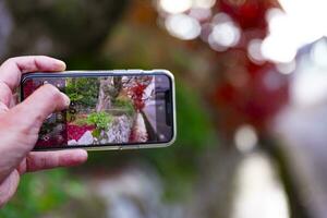 uma Smartphone tiroteio empilhado acima vermelho folhas dentro a limitar calha dentro outono foto