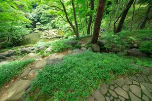 uma japonês jardim lagoa às tonogayato jardim dentro verão ensolarado dia foto