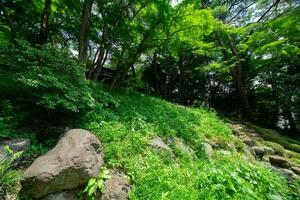 uma japonês jardim lagoa às tonogayato jardim dentro verão ensolarado dia foto