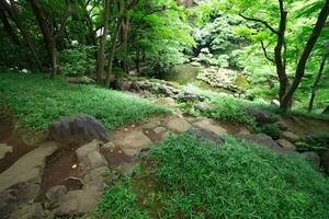 uma japonês jardim lagoa às tonogayato jardim dentro verão ensolarado dia foto