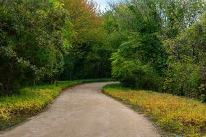 Ataturk cidade floresta dentro Sariyer Istambul. corrida trilha dentro a floresta foto