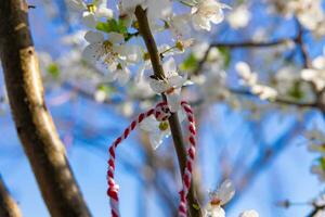 martenitsa em a ramo do uma árvore dentro a Primavera foto