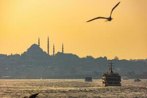 Visita Istambul conceito foto. balsa e gaivota com paisagem urbana do Istambul foto