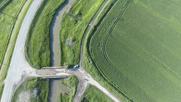 a topo Visão do a trigo campo e a canal do a irrigação sistema. tiroteio a partir de uma drone. foto