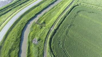 a topo Visão do a trigo campo e a canal do a irrigação sistema. tiroteio a partir de uma drone. foto
