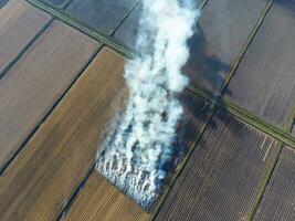 a queimando do arroz Palha dentro a Campos. fumaça a partir de a queimando do arroz Palha dentro Verificações. fogo em a campo foto