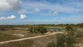 panorama perto a mar do azov, a rio, a artificial lago e aberto espaços para Caçando e pescaria foto