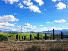 Campos dentro toscana dentro Itália foto