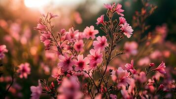 ai gerado suave Rosa flores silvestres aquecendo dentro dourado luz foto