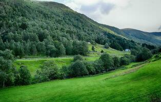 lindo paisagem.travel dentro Noruega foto