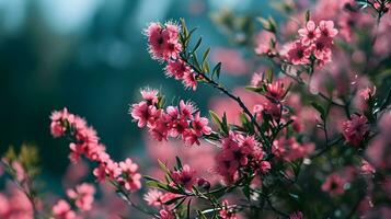 ai gerado Primavera esplendor com Rosa flores em chamas foto