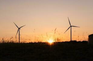 vento turbinas estão uma ampla fonte do natural energia este é virou para dentro elétrico energia e então usava dentro todo dia vida. em pôr do sol fundo foto