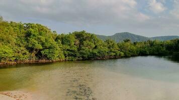 sereno mangue santuário, montanhas e calma foto