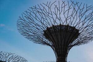 superárvore dentro jardins de a baía foto