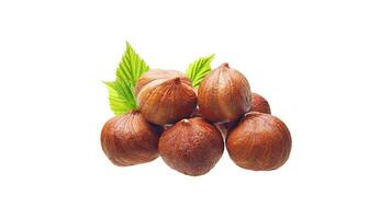 orgânico Castanho avelãs. delicioso saudável nozes, conceito para Projeto. gourmet ingredientes para culinária criações, outono colheita lanche foto