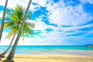 lindo tropical de praia com coco Palma árvore em azul céu e branco nuvem para viagem e período de férias foto