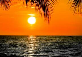 palmeira na praia durante o pôr do sol de uma bela praia tropical foto