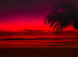 lindo pôr do sol com Palma árvores em a tropical mar de praia Rosa céu fundo foto