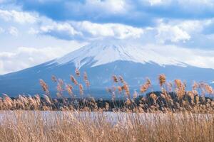 montar fuji, grama campo com ampla nuvens cobertura a topo do a montanha.paisagem Visão com água às kawaguchiko lago, Japão foto