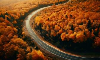 ai gerado ondulado estrada dentro a outono laranja floresta, aéreo visualizar. foto