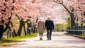 ai gerado a velho casal é caminhando dentro a parque. foto