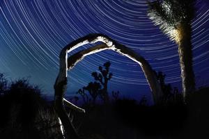 trilhas de estrelas no parque nacional joshua tree