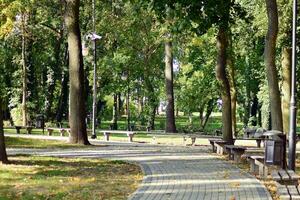 verde árvores dentro a cidade parque foto