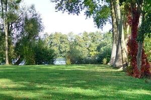 verde árvores dentro a cidade parque foto