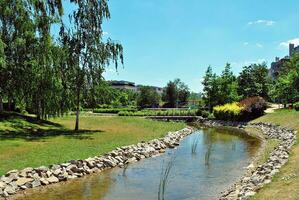 verde árvores dentro a cidade parque foto