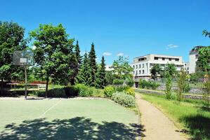 verde árvores dentro a cidade parque foto