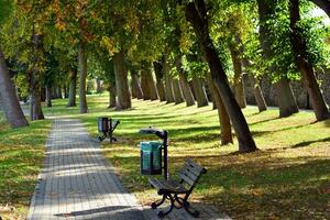 verde árvores dentro a cidade parque foto