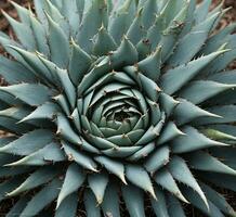 ai gerado aloés vera plantar dentro botânico jardim, fechar acima. foto