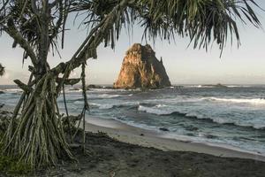 verão, vista matinal em uma bela praia foto