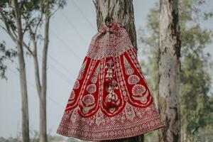 uma indiano Casamento Lehenga para a noiva foto