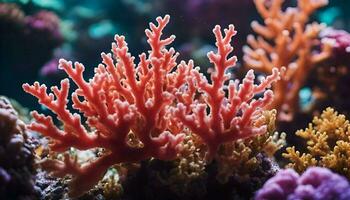 ai gerado colorida corais dentro a aquário. embaixo da agua mundo. embaixo da agua mundo. foto