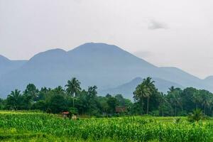 lindo manhã Visão a partir de Indonésia do montanhas e tropical floresta foto