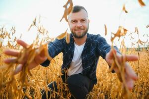 agrônomo inspecionando soja feijão cultivo crescendo dentro a Fazenda campo. agricultura Produção conceito. jovem agrônomo examina soja colheita em campo. agricultor em soja campo. foto