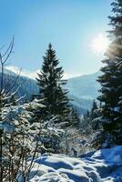 ai gerado inverno país das maravilhas com coberto de neve chão, imponente pinho árvores, uma radiante Sol iluminador a Claro azul céu e majestoso montanhas. foto
