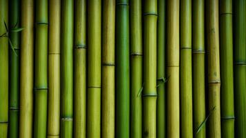 ai gerado verde bambu textura para interior ou exterior projeto, bambu cerca textura fundo. foto