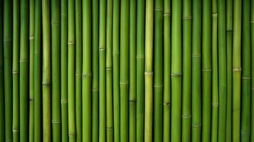 ai gerado verde bambu textura para interior ou exterior projeto, bambu cerca textura fundo. foto