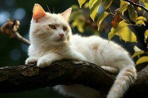ai gerado felino graça uma branco gato salões em uma árvore filial, exibindo tranquilidade foto