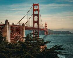 pontes e arquitetos dentro san francisco, EUA foto